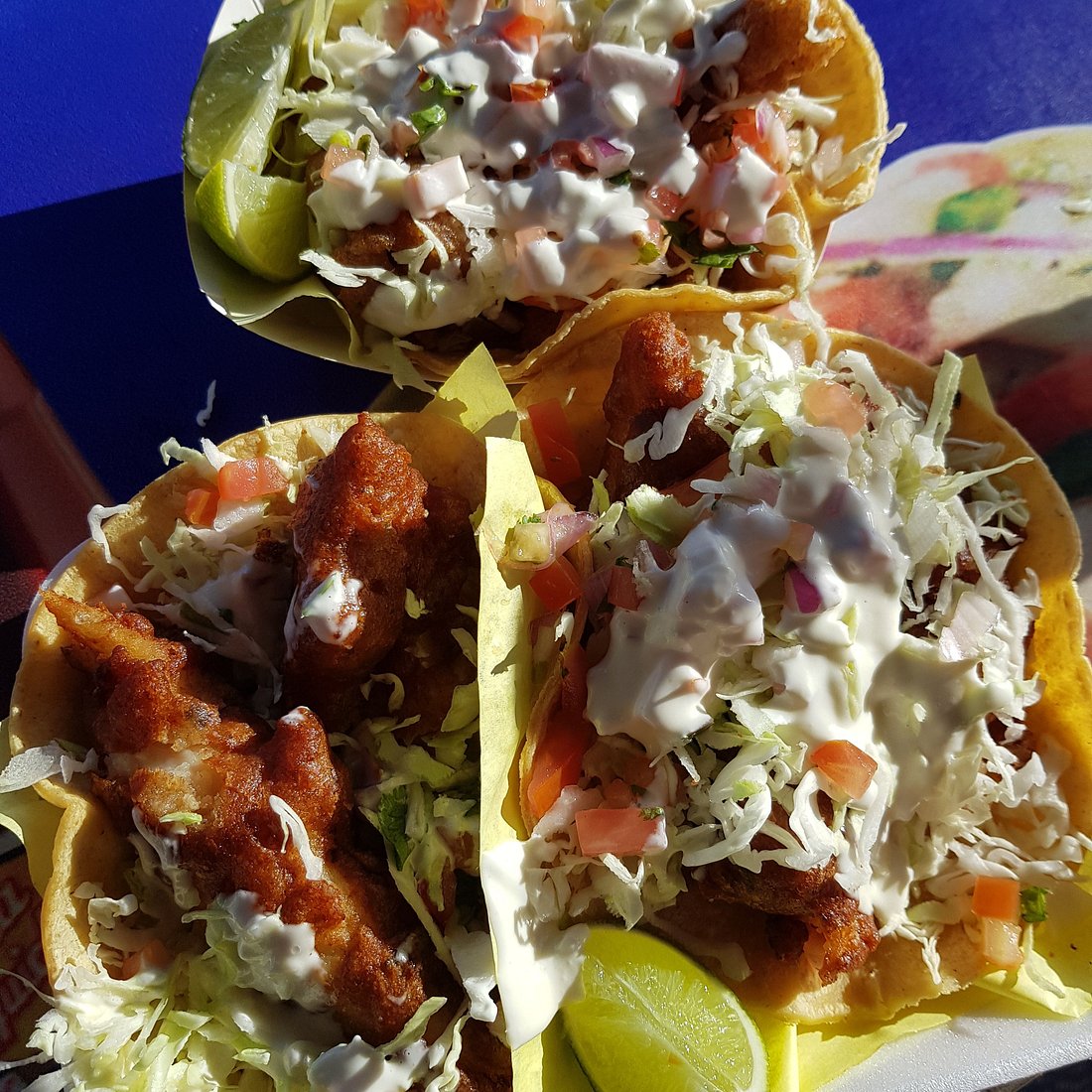 Mariscos Nine Seas Seafood signature dishes Grilled Fish Wrap
Wild Salmon Sandwich
Clams